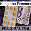 Kangaroo Essence new12